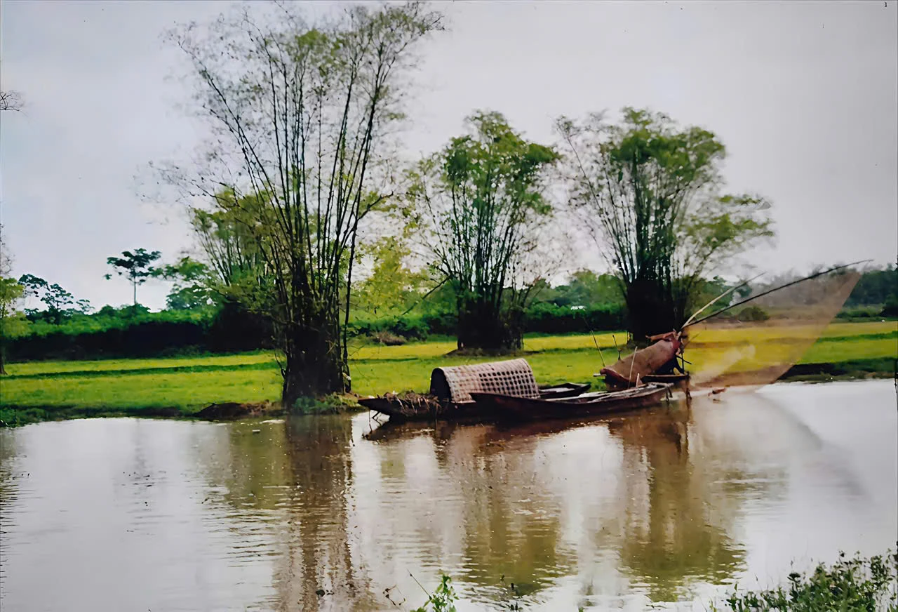 Náo nức gọi hồn quê