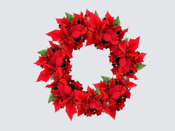 Trạng nguyên Vũ Giới - quê hương và gia đình Tiến sĩ - Thượng thư