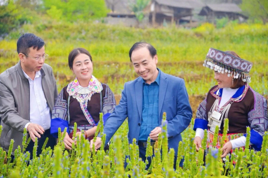 ChicoChia - Từ vùng cao Than Uyên đến thị trường toàn cầu