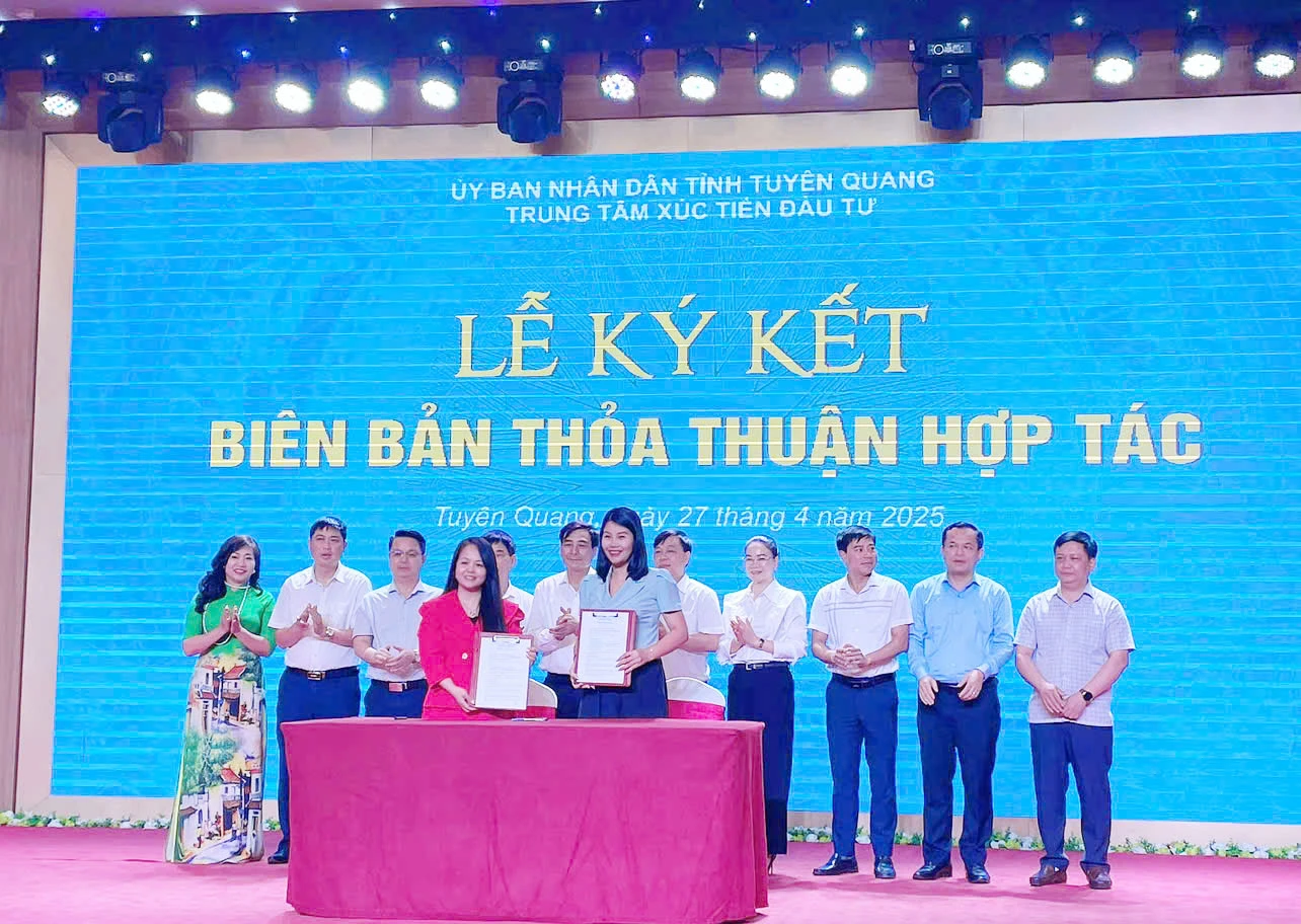 Từ xuất nhập khẩu đến điện ảnh: Chiến lược phát triển đa ngành của HSAT