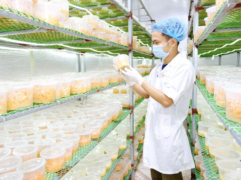 Dấu ấn tiên phong của Bioviet trong ngành nông nghiệp công nghệ cao