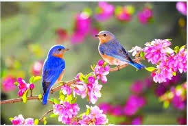 Kỷ niệm về một câu đối ngày xuân hai mươi năm trước